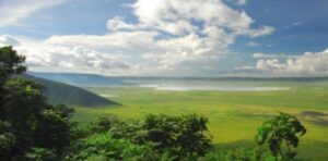 SERENGETI HOUSE OF NATURE
